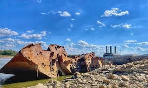 Image result for Red Marina 1993 UMM