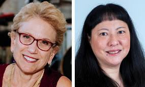 Local Big Tent' Initiative Highlights Psychotherapy for Social Trauma