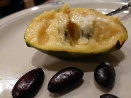 The nearby farmer will watch over a growing papaya tree in exchange for 10 pineapples, which may be noted. Foraging For Wild Pawpaw Fruits In Pennsylvania Veggie Gardening Tips