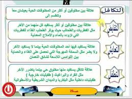 العلاقات المتبادلة في النظام البيئي