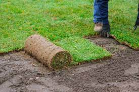 Check spelling or type a new query. How To Lay Sod In 5 Steps Installing A New Lawn In 2020