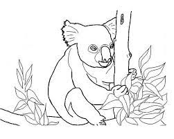 Koala bear coloring pages for kids. Free Printable Koala Coloring Pages For Kids