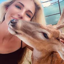 dog diagnosed with multiple cancers