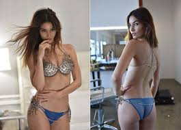 Image result for victoria secret fashion show 2015 december