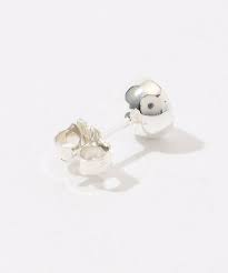 Image result for Olea chimanimani