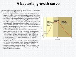 List The Phases Of The Bacterial Growth Curve Google Search Biology Lessons Microbiology Growth
