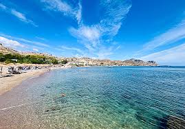 Image result for Sorindeia rhodesica