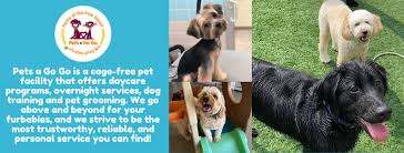 Start searching for petting sitting near you on and review pet sitter profiles for free on care.com. Pets A Go Go Stamford Dog Day Care Center Stamford Connecticut 1 693 Photos Facebook