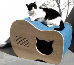107 Photos Du Journal Gracinhas De Miaus Kedi Evi Hayvan Dekoru