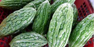 Kami sangat yakin kapsul peria katak warisan temurun ini mampu membantu anda menyelesaikan masalah. Peria Katak Bagus Untuk Pesakit Diabetes Ada Khasiat Yang Lain