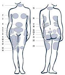 Liposuctie Informatie Betekenis Zones Prijs In Belgie