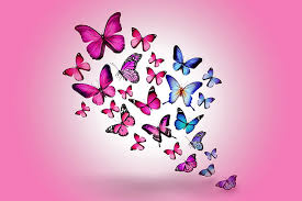 We did not find results for: Hd Wallpaper Assorted Color Butterfly Wallpaper Drawing Flying Colorful Wallpaper Flare