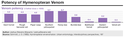 Visual Guide To Painful Hymenopteran Stings