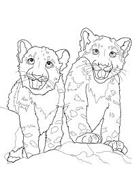 Leopard coloring pages are a fun way for kids of all ages to develop creativity, focus, motor skills and color recognition. Coloring Pages Coloring Pages Leopard Printable For Kids Adults Free