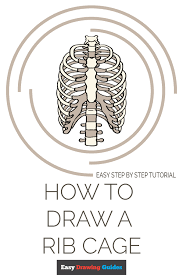 They are extremely light, but highly resilient; How To Draw A Rib Cage Really Easy Drawing Tutorial