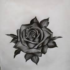 How To Draw A Rose With Pencil Super easy and systematic way of drawing. how to draw a rose with pencil
