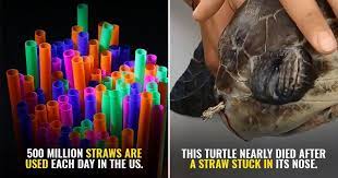 Strawlessocean We Use Disposable Plastic Straws A Lot Often Without Taking Notice At First Glance What See Plastic Pollution Marine Ecosystem Reusable Bags