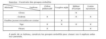 Courte vidéo niveau collège permettant d'expliquer comment construire un graphique en courbe en svt. 6eme Blog Des Svt