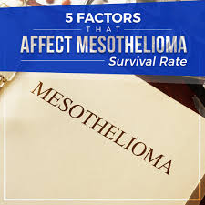 Find the survival rates for kidney cancer here. 5 Factors That Affect Mesothelioma Survival Rate Blog Aware Asbestos Removal Melbourne