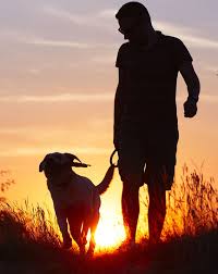 Maybe you would like to learn more about one of these? Spring Valley Veterinary Clinic Veterinarian In Spring Valley Mn Us
