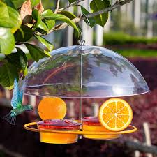 Check spelling or type a new query. Hanging Wild Squirrel Proof Birds Oriole Feeders Jelly And Oranges Bluebirds Hummingbirds Houses For Outside Outdoors Walmart Com Walmart Com