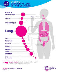 There are several walks and runs across the country to raise awareness around lung cancer. Stop Smoking For Lung Cancer Awareness Month One You Merton