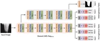 Downloads exam papers from the mu library website. Ums Rep Unified Modality Specific Representation For Efficient Medical Image Analysis Sciencedirect