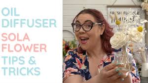 Luv sola flowers | sola wood flowers that lasts forever! Luv Sola Flowers Coupon Code 08 2021