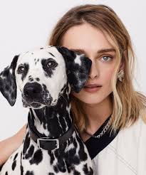 Descubre 11 ideas de Fotos y foto