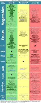 modifying paleo for fodmap intolerance a k a fructose