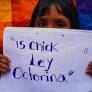 El Senado aprobó la ley contra crímenes sexuales a niñas y mujeres indígenas