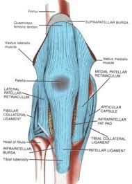 Malalignment of the foot, ankle, and leg can play a key role in tendonitis. Patellar Tendinitis Treatment Jumper S Knee