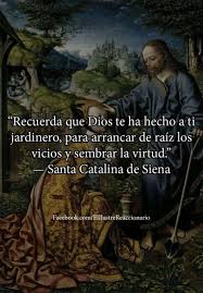Pin De Adriana Cifuentes En Frases Bellas Santa Catalina De Siena Virtud Vicios