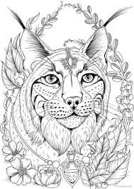 Big bear with zentangle patterns. Pin On Gatti