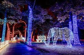 Best Zoo Lights Winners 2018 Usa Today 10best