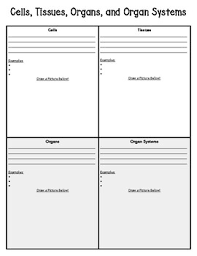 Cells Tissue Organs Organ Systems Worksheets Teaching Resources Tpt