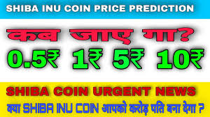 It will also take a look at regardless of how one might see the project, there is strong competition among many cryptos and defi protocols, each with their own way of ensuring. Shiba Inu Coin Price Prediction In 2021 Shiba Inu Coin News Crypto Tv India Coinmarketbag
