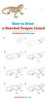Maybe you would like to learn more about one of these? How To Draw A Bearded Dragon Lizard Really Easy Drawing Tutorial Drawing Tutorial Easy Bearded Dragon Easy Drawings