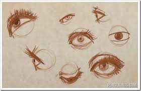 How to draw eye easy? How To Draw The Eyelids Eyelashes And Eyebrow