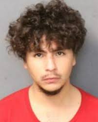 Kaya Brown Pleads Guilty