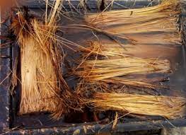 Oil palm empty fruit bunch (opefb) is one of the organic matter gotten as byproducts left during palm oil processing in the mill. Oil Palm Empty Fruit Bunch Fibres Soaked In Water Download Scientific Diagram