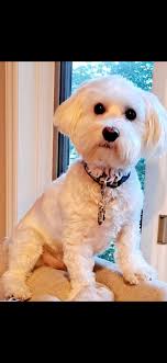 Baby died of SUIDS at 5 weeks old