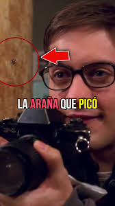 ¿Qué pasó con la araña que picó a Peter Parker? 🤔