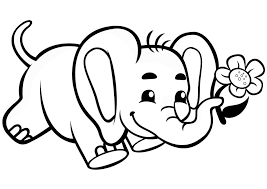 They are very intelligent and have sharp memory also, this thing has proved in research. Baby Elephant And Flower Coloring Page Free Printable Coloring Pages For Kids