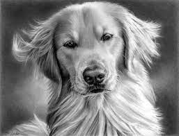 40 Realistic Animal Pencil Drawings Realistic Drawings Cool Pencil Drawings Pencil Drawings Of Animals
