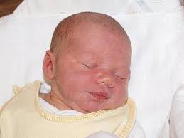 Fotogalerie: Právě jsme se narodili