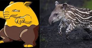 Efsanevi Cizgi Dizi Pokemon Hakkinda Muhtemelen Bilmediginiz 30 Ilginc Bilgi Pokemon Cizgi Film
