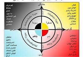 افراد بلغمی تمایل جنسی کمتری دارند اخبار اجتماعی تسنیم Tasnim