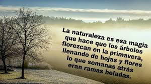 Pin On Frases