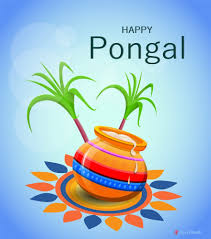 Happy thai pongal 2020 sms messages msgs wishes images photos videos whatsapp status quotes shayari fb dp facebook timeline covers picture pics hd thai pongal is a four day festival which according to the gregorian calendar is normally celebrated from january 13 to january 16, but. 2021 Happy Pongal Wishes Images Quotes Hd Wallpapers Stickers Download For Facebook Whatsapp Status Dp Updates